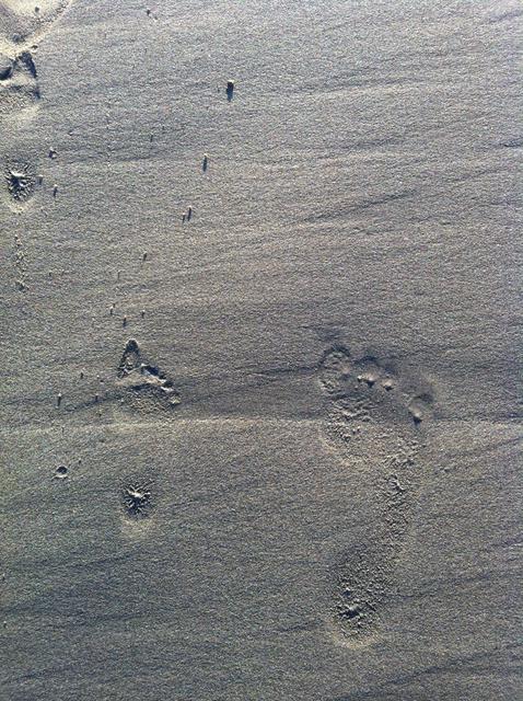 footprints