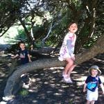 alena_silas_ollie_tree2