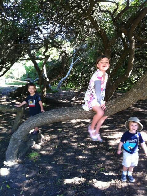 alena_silas_ollie_tree2