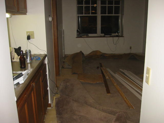 pulling_carpet2.jpg