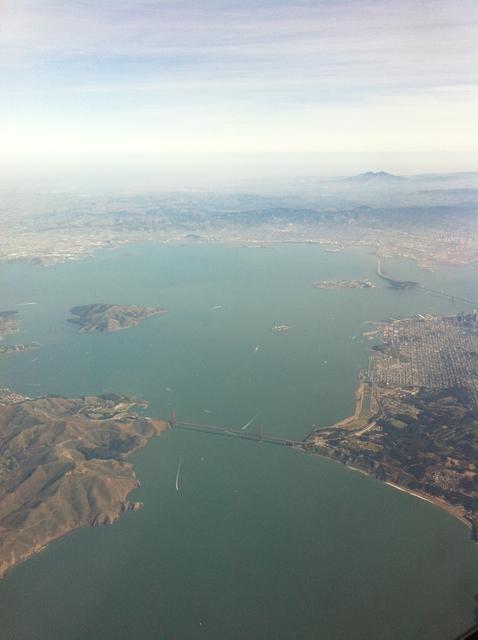 flying_into_the_bay