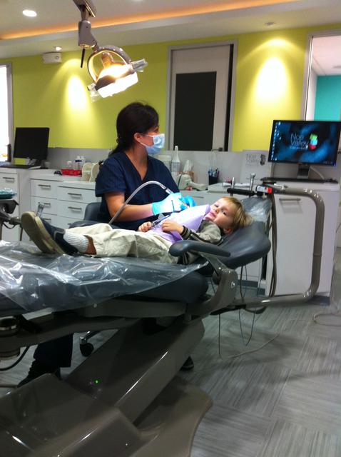 ollie_dentist