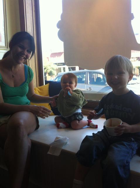 frozen_yoghurt_larkspur