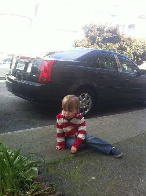 ollie_on_strike_24th_st