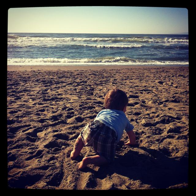 theo_crawling_pacifica