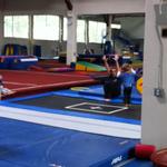 ollie_gymnastics