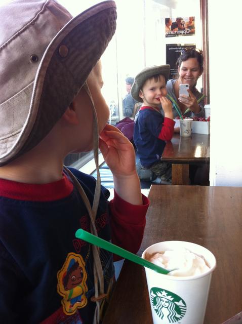 ollie_starbucks_sugar