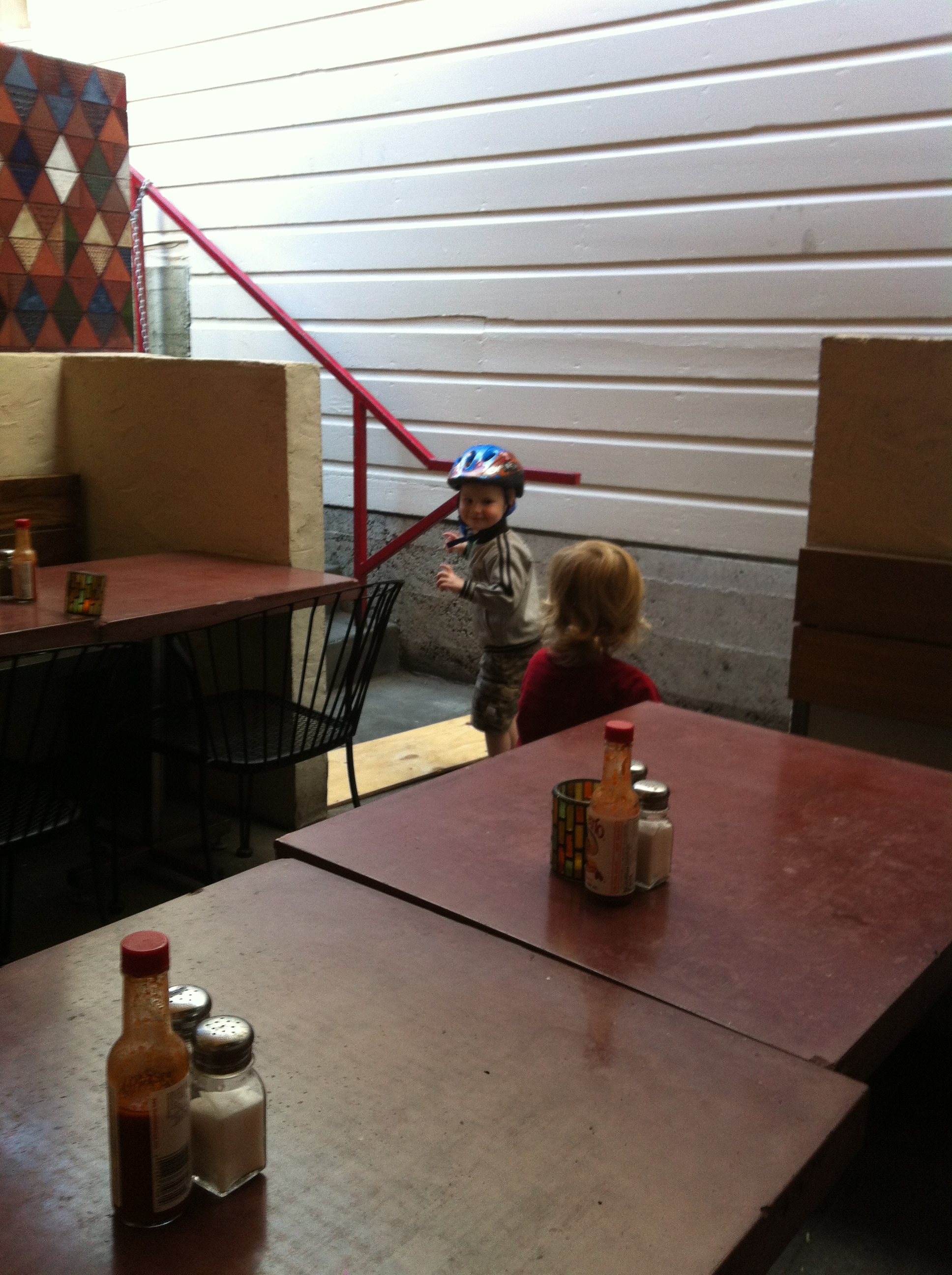 little_chihuahua_ollie_whalen