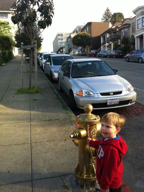 ollie_gold_hydrant