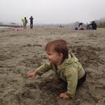 theo_fog_beach