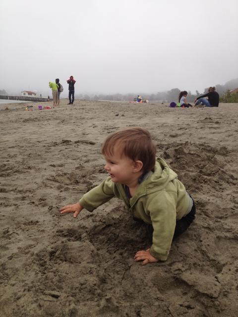 theo_fog_beach