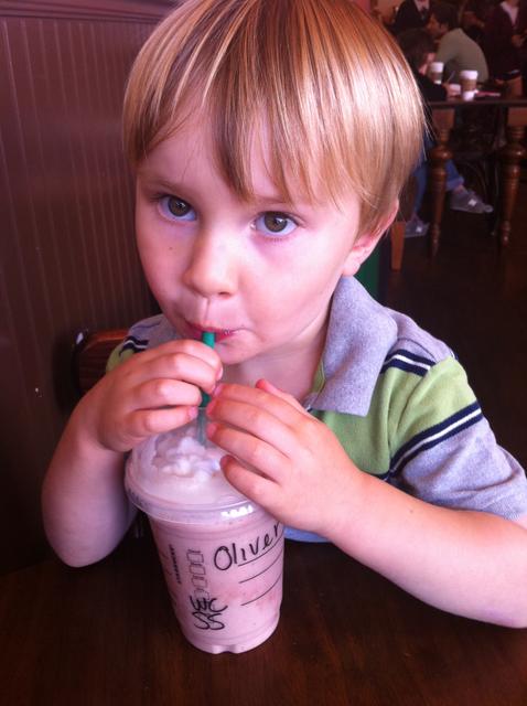 ollie_starbucks_again