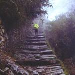 IncaTrailSteps.jpg