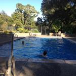 alexandria_vinyard_pool