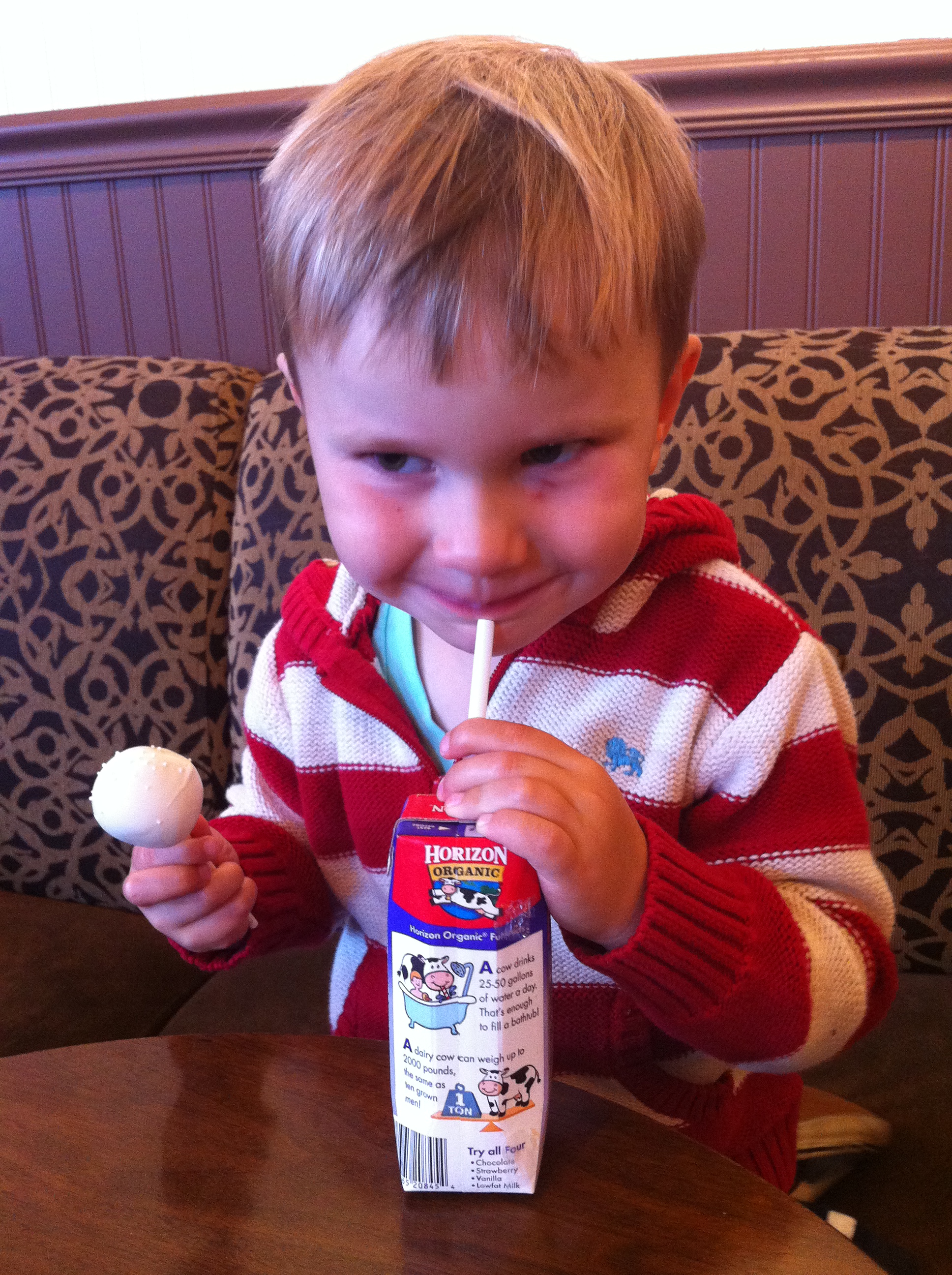 ollie_starbucks_bliss