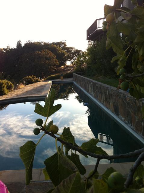 pool_evening