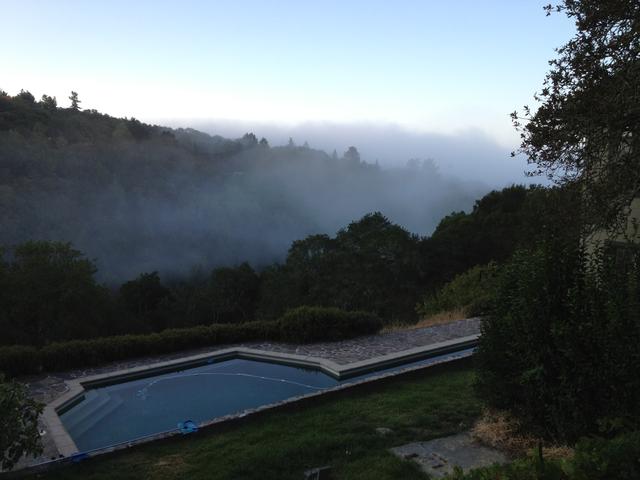 pool_fog