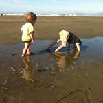 thanksgiving_morning