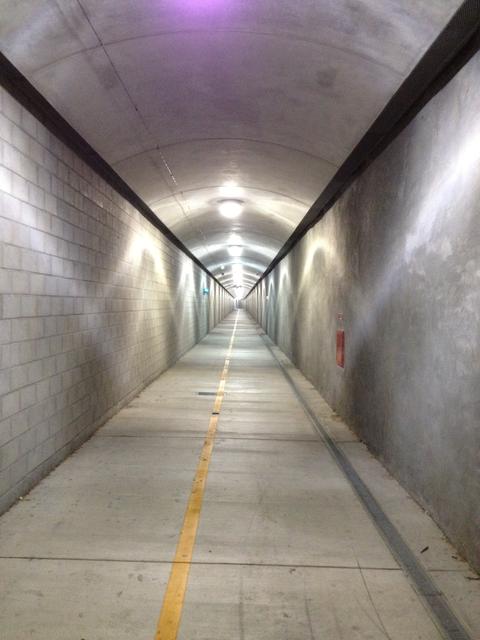 larkspur_tunnel
