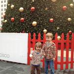 boys_xmas_tree