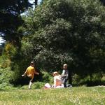 ollie_gg_pickup_game