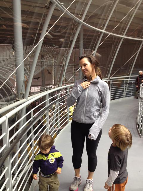 academy_of_sciences2