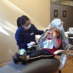 ollie_dentist