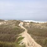 ollie_beach_hike