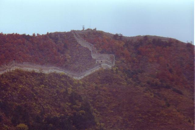 great_wall2.jpg
