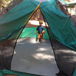 theo_tent