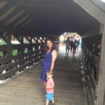 kt_theo_covered_bridge