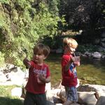 boys_morning_creek2