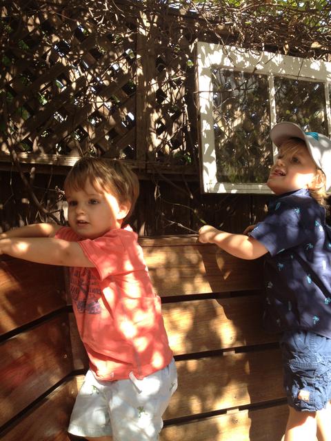 sunflower_cafe_theo_gabriel