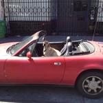 miata_dog