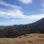 mt_tam