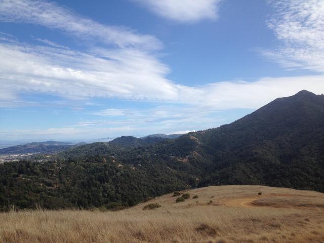 mt_tam