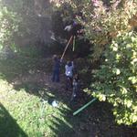 old_pinatas_dont_die