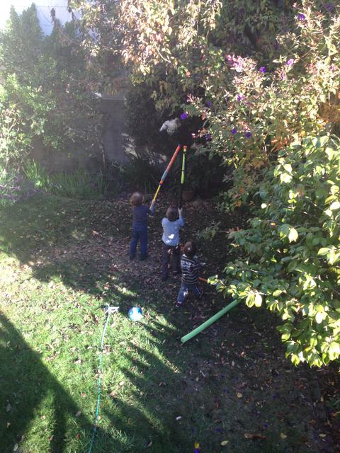 old_pinatas_dont_die