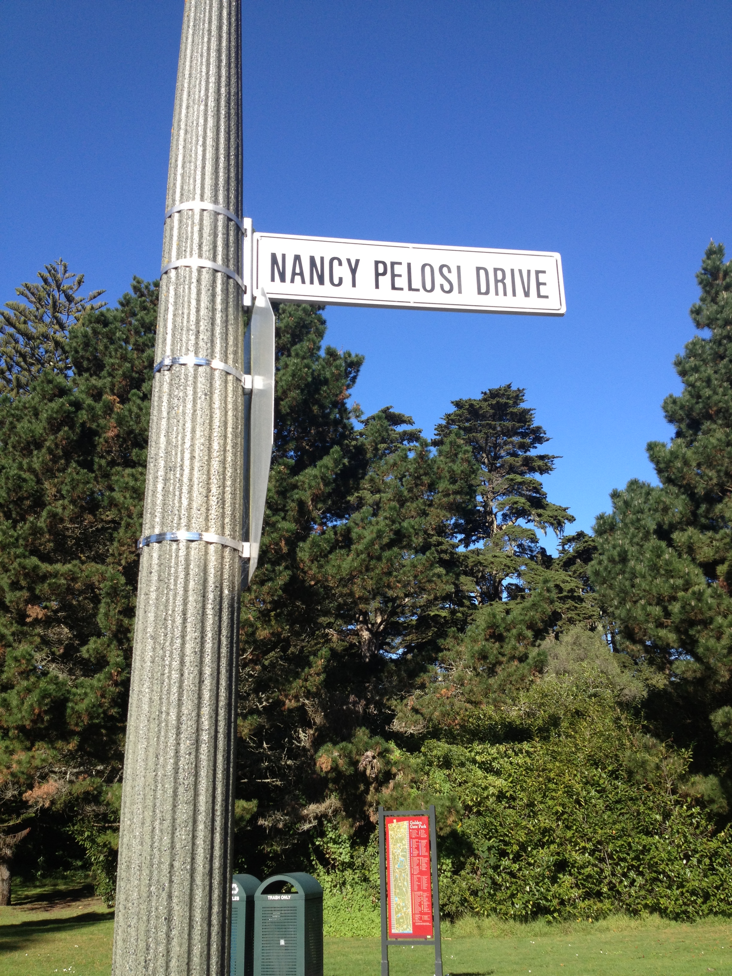 pelosi_drive