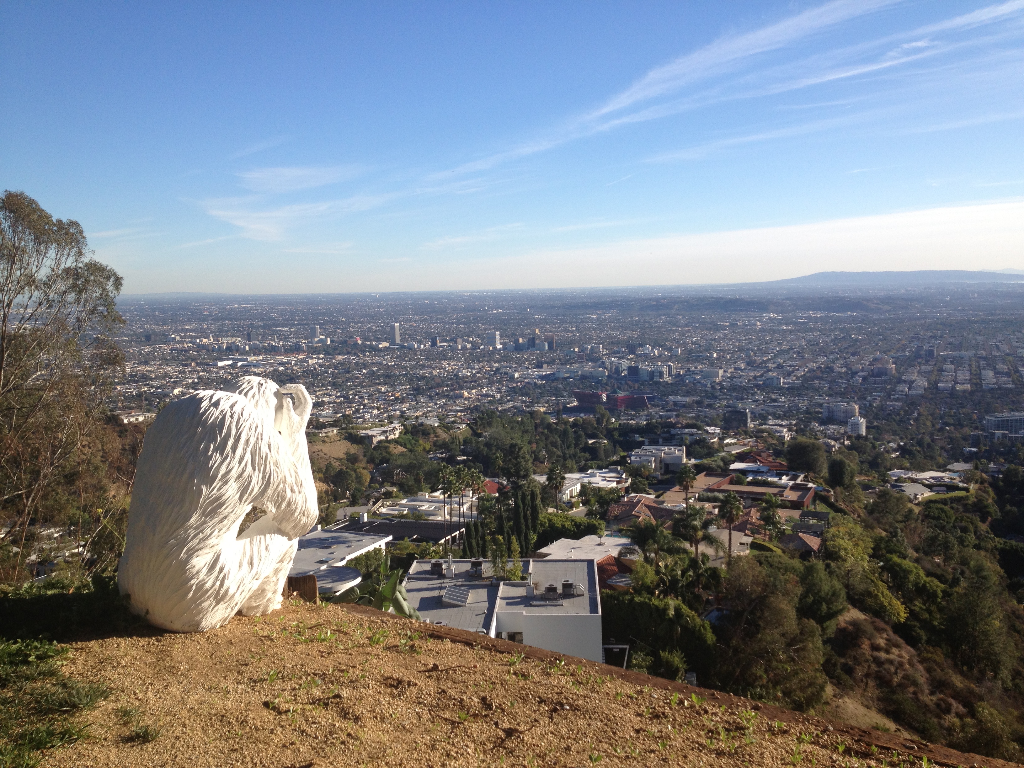 gorilla_laurel_canyon