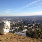 gorilla_laurel_canyon