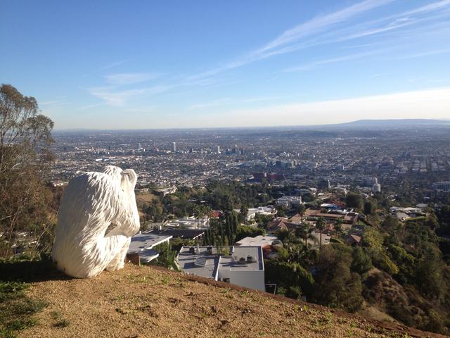 gorilla_laurel_canyon