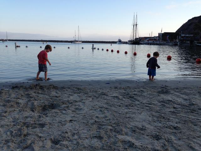 kiddie_beach_dana_point
