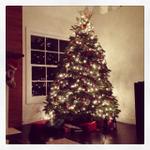 xmas_tree_laurel_canyon_house