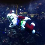 scuba_santa