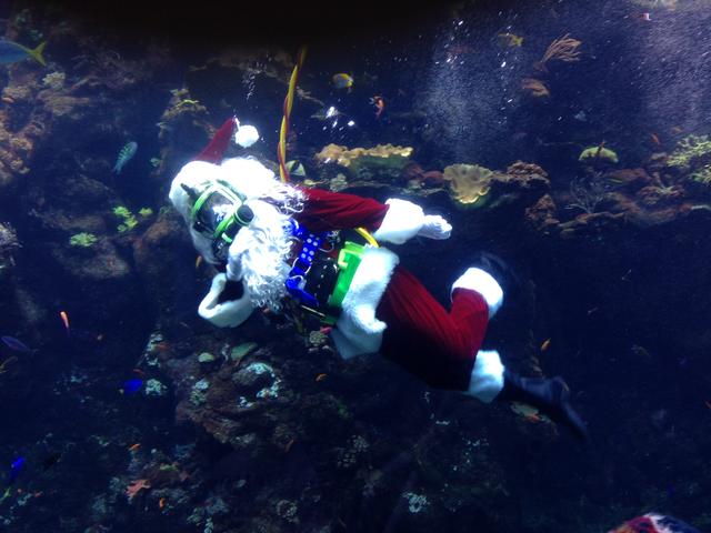scuba_santa