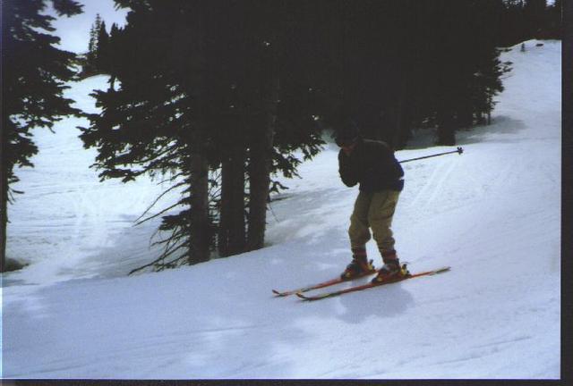 19_DezzaSki.jpg
