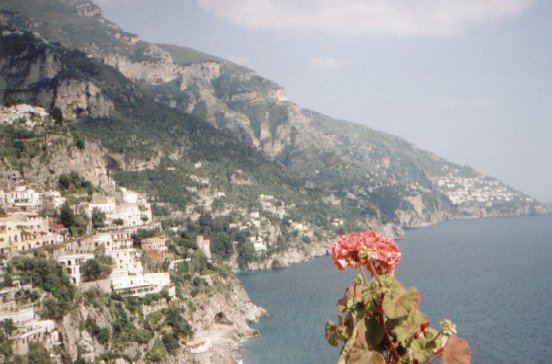 positano_flower.jpg