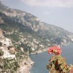 positano_flower.jpg