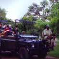Land_Rover_small1.jpg